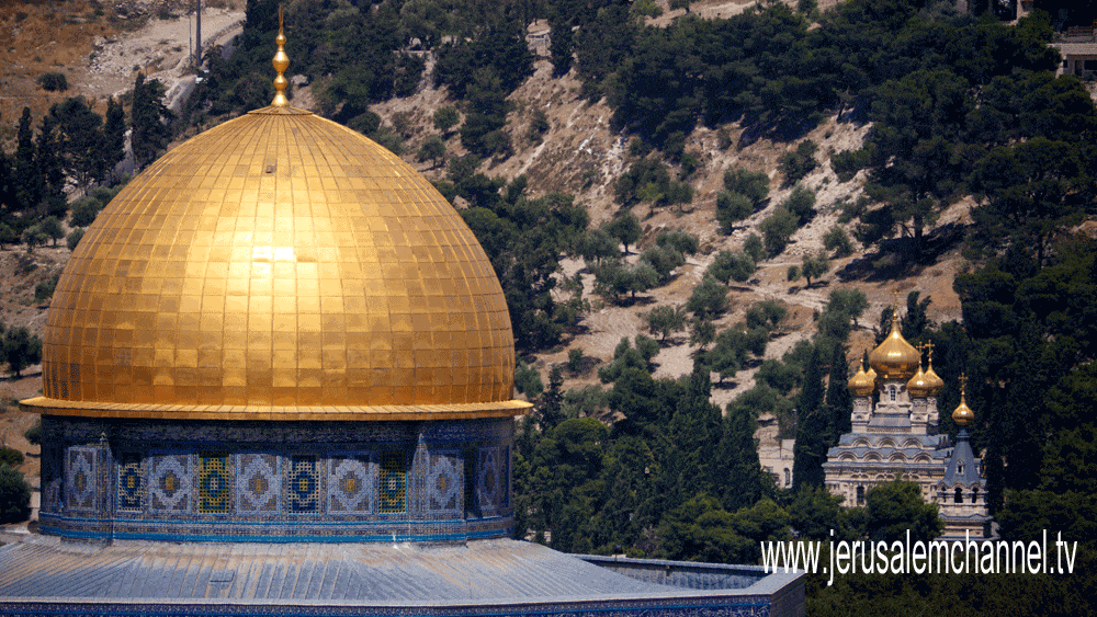 Golden Domes of Jerusalem including the Russian Orthodox Church on the Mt. of Olives where Alice is buried (Photo by Peter Darg)